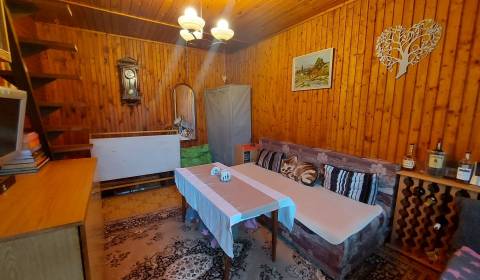 Cottage, Krajné, Sale, Nové Mesto nad Váhom, Slovakia