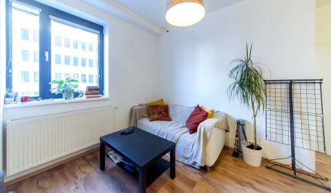 Modern 1bdr apt of 30m2, with a cellar, petfriendly MODRÁ GUĽA