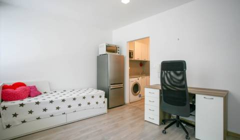 Studio, Podunajská, Rent, Bratislava - Podunajské Biskupice, Slovakia