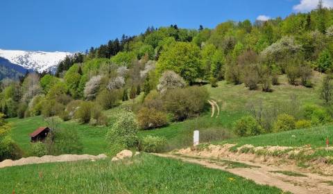 Sale Recreational land, Fongrub, Brezno, Slovakia