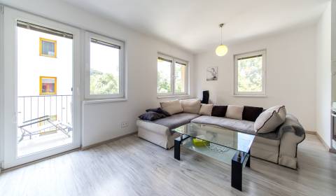 Nice 1bdr apt, 52 m2, furnished, balcony, pleasant area, petfriendly