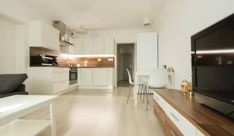 Rent One bedroom apartment, One bedroom apartment, Jána Ondruša, Malac