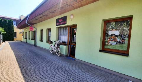 Commercial premises, Moravská, Rent, Nitra, Slovakia