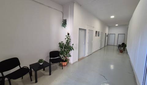 Rent Commercial premises, Commercial premises, Z. Kodálya, Galanta, Sl