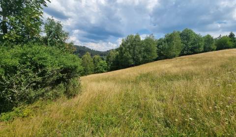 Recreational land, Rieka, Sale, Čadca, Slovakia