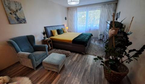 One bedroom apartment, Výstavná, Sale, Nitra, Slovakia