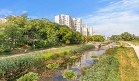 Two bedroom apartment, Ševčenkova, Sale, Bratislava - Petržalka, Slova