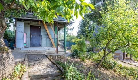 Gardens, Sale, Košice-okolie, Slovakia
