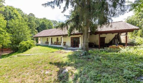 Family house, Nagy, Sale, Gönc, Hungary