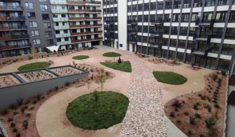 Rent One bedroom apartment, One bedroom apartment, Hornotabánska, Nitr