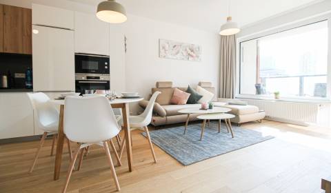  METROPOLITAN │New modern apartment for rent in KLINGERKA
