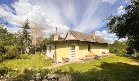 Family house, Sale, Nové Mesto nad Váhom, Slovakia