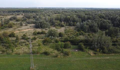 Sale Recreational land, Kúpeľná, Pezinok, Slovakia
