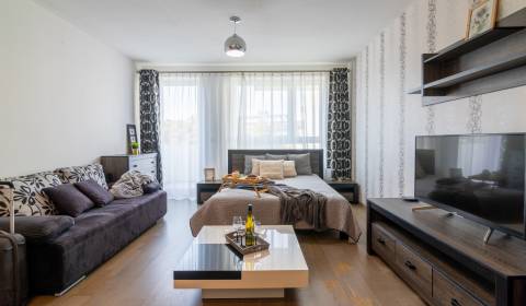 Studio, Radlinského, Sale, Bratislava - Staré Mesto, Slovakia