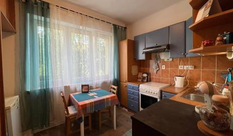 Studio, Slovinská, Sale, Bratislava - Ružinov, Slovakia