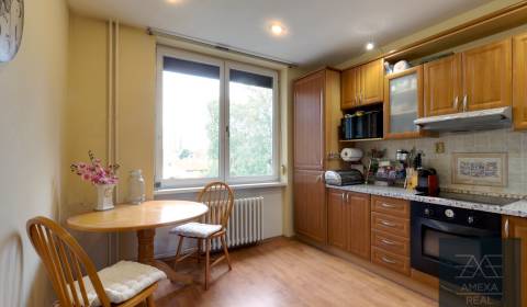 One bedroom apartment, Trenčianska, Sale, Bratislava - Ružinov, Slovak