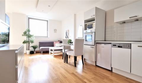 One bedroom apartment, Kopčianska 8a, Rent, Bratislava - Petržalka, Sl
