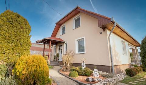 Family house, Vašinova, Sale, Nitra, Slovakia