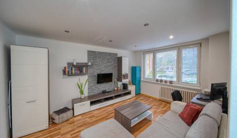 Studio, Orgovánová, Sale, Košice - Západ, Slovakia