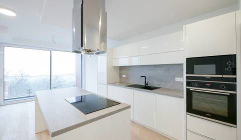 Rent Three bedroom apartment, Three bedroom apartment, Šafranová, Brat