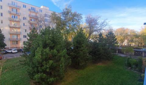 One bedroom apartment, Solivarská, Sale, Bratislava - Ružinov, Slovaki