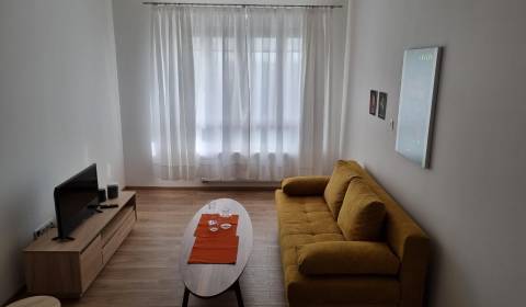 One bedroom apartment, Školská, Rent, Bratislava - Staré Mesto, Slovak