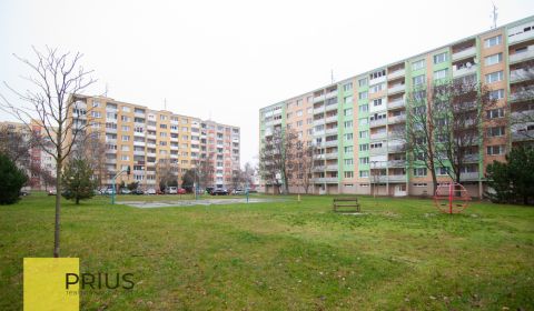 Rent Studio, Studio, Gen. Goliana, Trnava, Slovakia