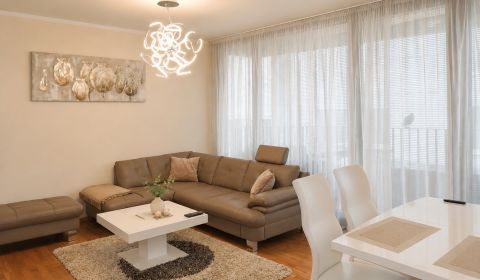 Rent One bedroom apartment, One bedroom apartment, Dvořákovo nábrežie,