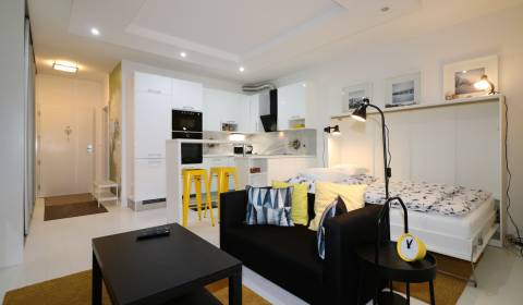 RENT - Cosy 1 room apartment with terrace, Staré Grunty