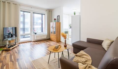 One bedroom apartment, Jégého, Sale, Bratislava - Ružinov, Slovakia