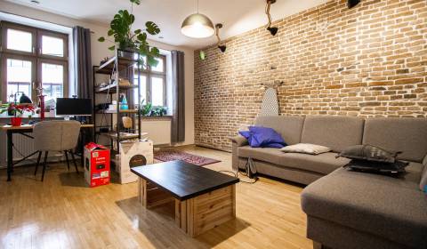 Reconstructed apartment for rent in Old town