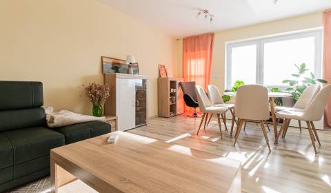 Sunny quiet family house with terrace 