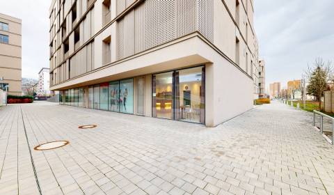 Space for your business in a new bulding 
