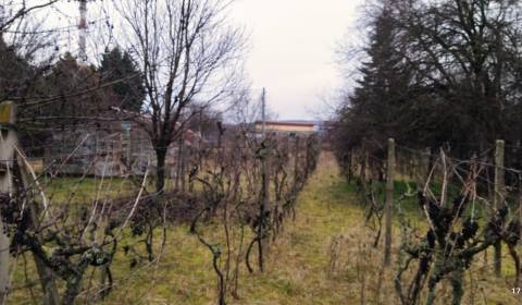 Sale Land – for living, Na Priehon, Nitra, Slovakia