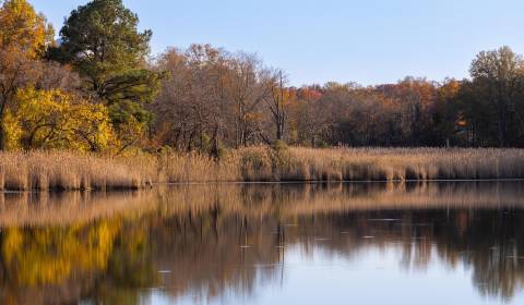 Sale Land – for living, Land – for living, Hlavná, Vranov nad Topľou, 
