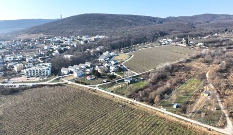 Sale Vineyards, Vineyards, Bratislava - Rača, Slovakia