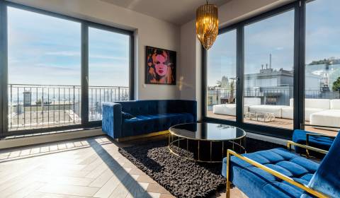 Luxurious penthouse with terrace for rent