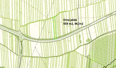 Sale Agrarian and forest land, Agrarian and forest land, Trstená, Tvrd
