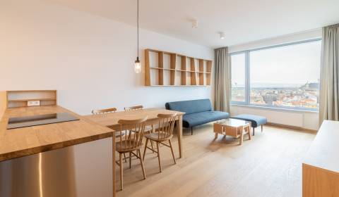 Amazing 1bdr apt 57m2, with the castle view and cellar, SKY PARK