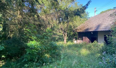 Sale Family house, Family house, Myjava, Slovakia