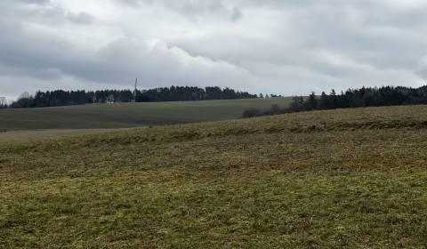 Sale Recreational land, Recreational land, Dohňany, Púchov, Slovakia