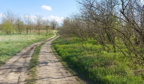 Sale Land – for living, Land – for living, Lesná, Komárno, Slovakia