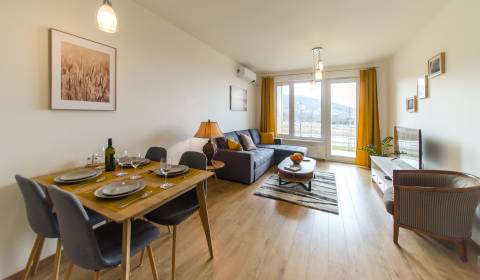 Amazing 1bdr apt 50m2, with A/C, loggia and parking, BORY PROMENÁDA