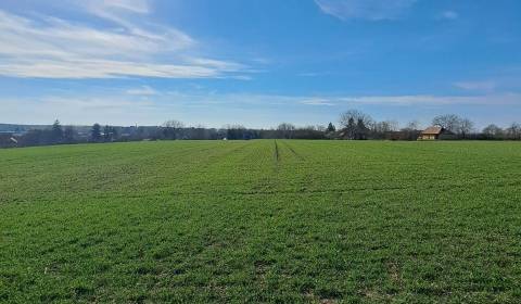 Sale Land – for living, Land – for living, Dubník, Nové Zámky, Slovaki