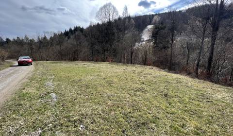 Sale Recreational land, Tisové, Púchov, Slovakia