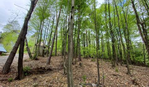 Sale Recreational land, Recreational land, Bočná, Vranov nad Topľou, S