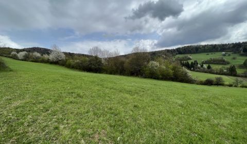 Sale Recreational land, Recreational land, Zbora, Púchov, Slovakia