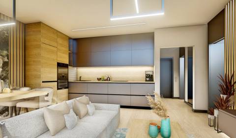 Sale One bedroom apartment, One bedroom apartment, Dohňany, Púchov, Sl