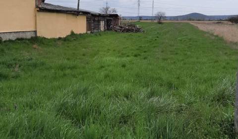 Land – for living, Sale, Michalovce, Slovakia