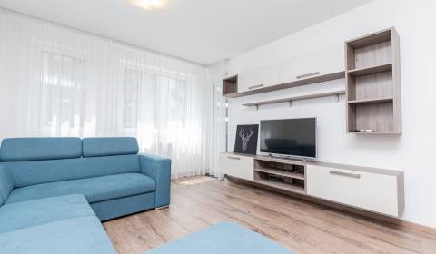  METROPOLITAN │Modern apartment for rent in Stein, Bratislava